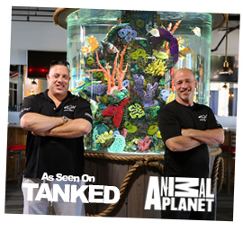 Tanked Episode filmed at Laketown Wharf | Panama City Beach